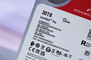 IronWolf Pro