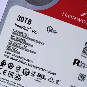 IronWolf Pro