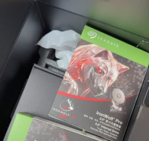 Seagate IronWolf 6TB